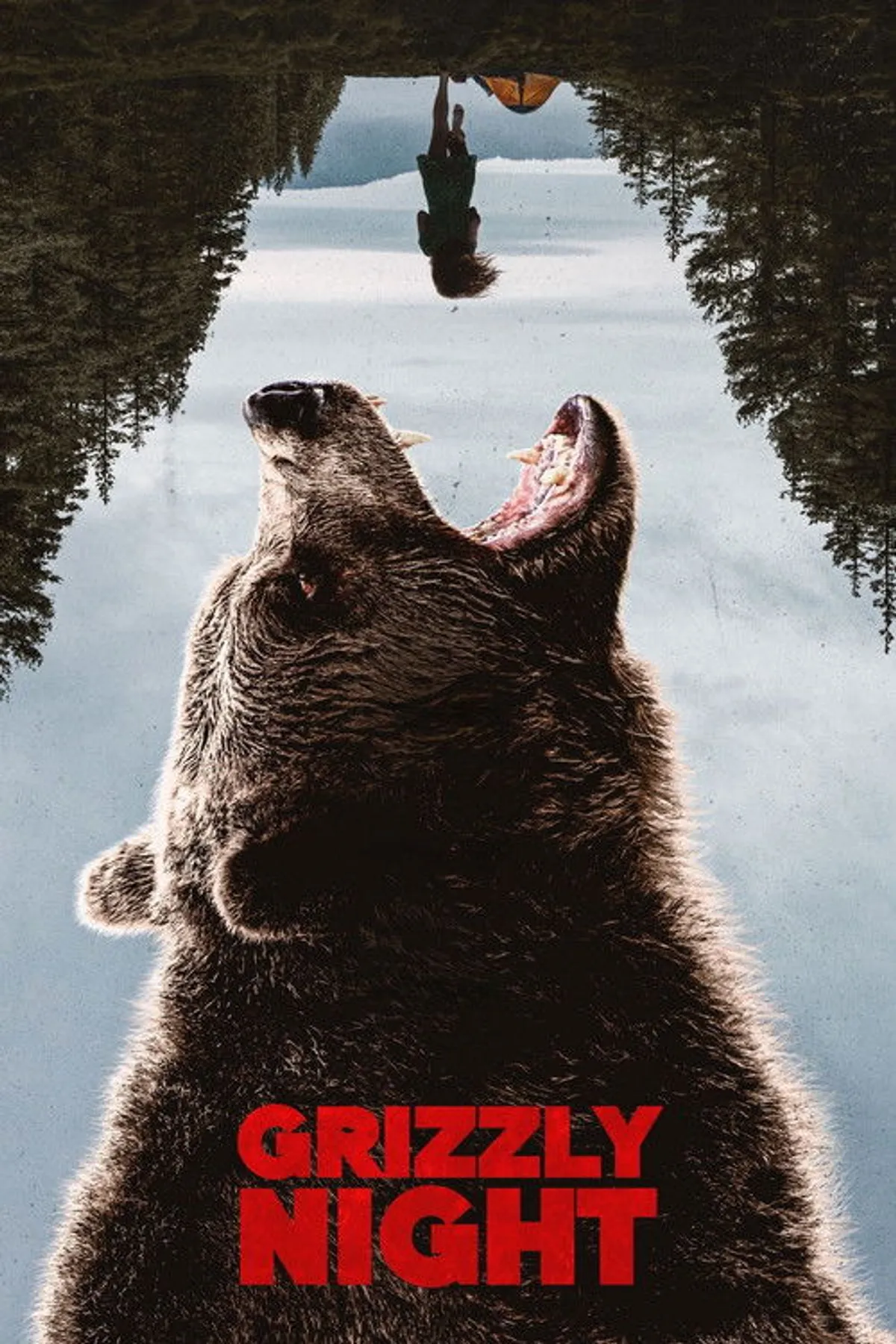 Grizzly night