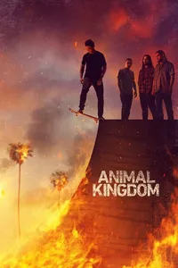 Animal
